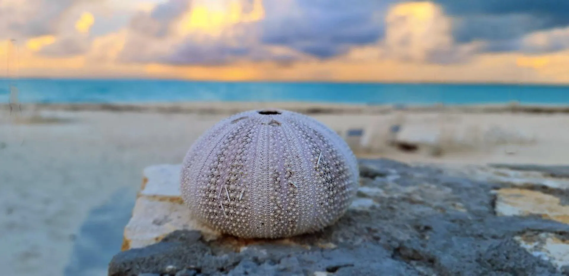 Luxury Beach Villa In Paradise. Treasure Cay Bahamy
